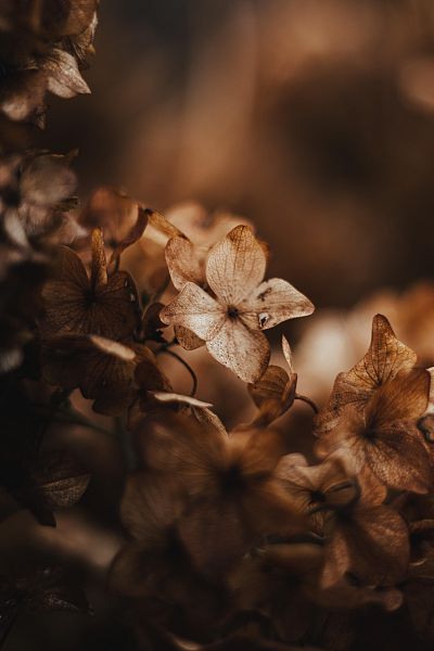 aedrian-3xl38-pkmkm-unsplash-5