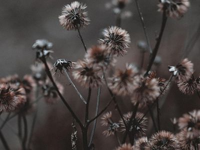 annie-spratt-jddubazktte-unsplash-q-3