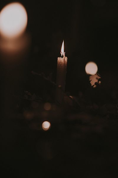 annie-spratt-q5v2dqa161i-unsplash-1-5