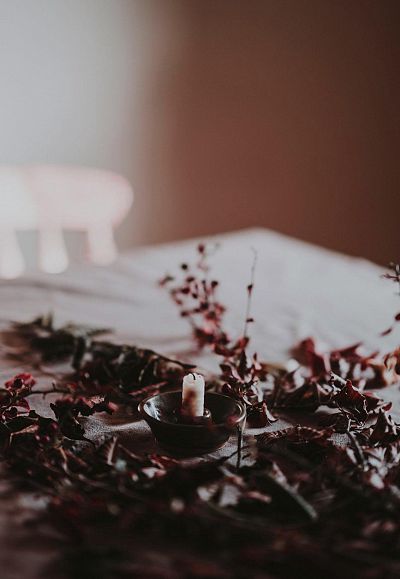 annie-spratt-tyx01w6kcyi-unsplash-w2-3