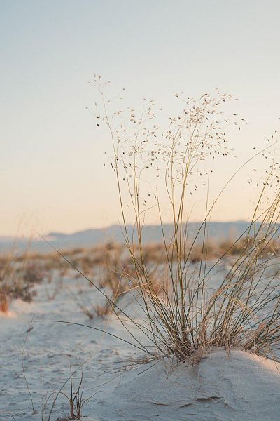 ben-curry-jxzvrsaalsi-unsplash-3