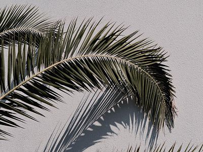 content-pixie-xc-5lfrwvyo-unsplash-q-3