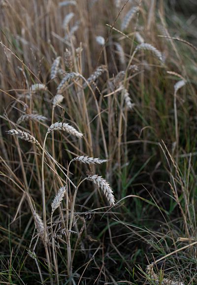 elena-kloppenburg-acbdike2ebc-unsplash-w-3