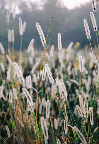 eli-defaria-ttybi0orh7w-unsplash-w-3
