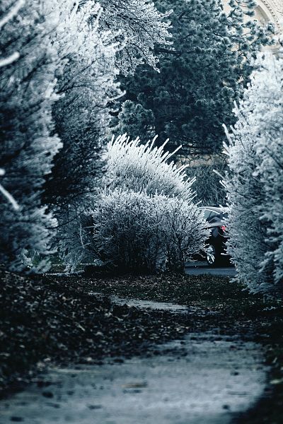 henrik-verle-exqkys0aw7a-unsplash-3