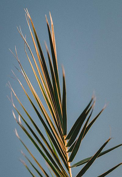 jakob-owens-9uhoi-meb7e-unsplash-2-3