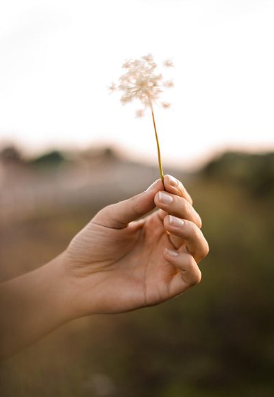 jessica-da-rosa-bofuo9umr6s-unsplash-w-3
