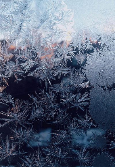 autumn*winter