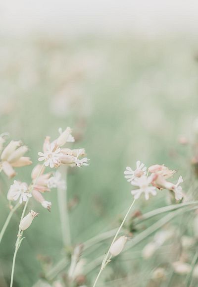 laura-patrick-r7codjdigqq-unsplash-w-3