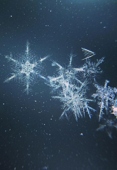 autumn*winter