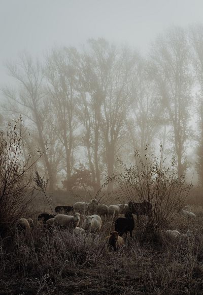 marina-reich-f62qjwrds0m-unsplash-w-3
