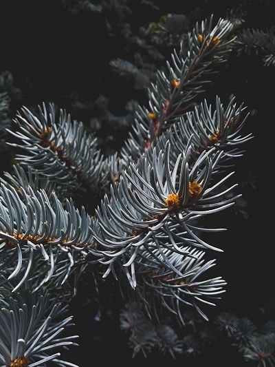 ouael-ben-salah-vrqmm2oflby-unsplash-5