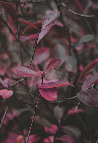 autumn*winter