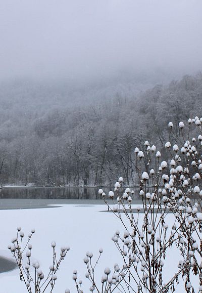autumn*winter