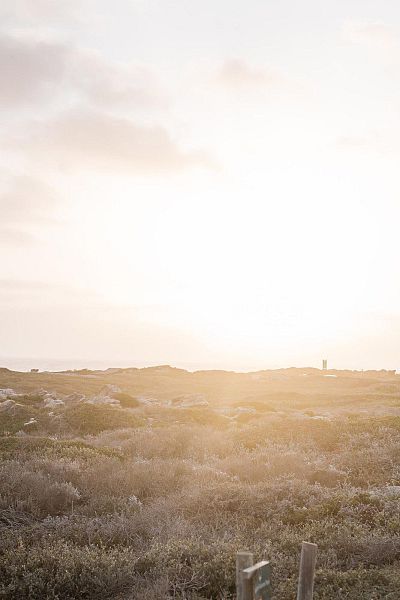 sincerely-media-1lzauerxfle-unsplash-3